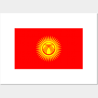 New Flag of Kyrgyzstan Posters and Art